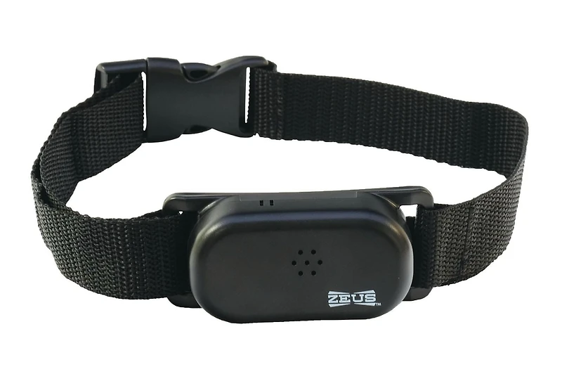 Ranger by Zeus Remote Dog Trainer