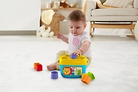 Fisher-Price Baby’s First Blocks Shape-Sorting Toy, Set of 10, for Infants 6+ Months, Ages 6M+
