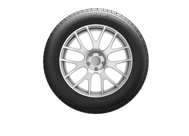 Uniroyal Tiger Paw Touring A/S 195/55R16 87V BSW tire