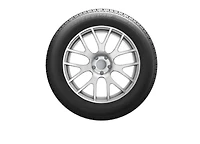 Uniroyal Tiger Paw Touring A/S 195/55R16 87V BSW tire