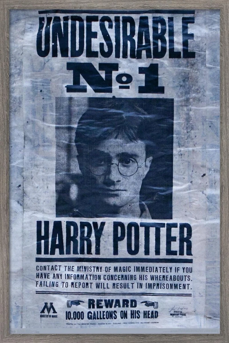 Le Monde des Sorciers : Harry Potter - Indésirable