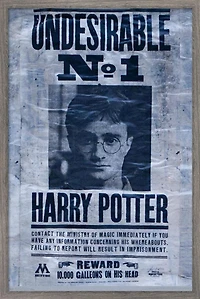 Le Monde des Sorciers : Harry Potter - Indésirable