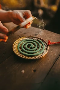 Coghlan's Mosquito Coils — Pack de 10 — Spirales anti-moustiques pour extérieur, 6 heures de combustion chacune, pour terrasse et camping