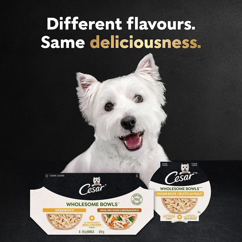 Nourriture humide pour chiens adultes Cesar Wholesome Bowls recette au bœuf, au poulet, aux carottes et aux pommes de terre mauves 85G
