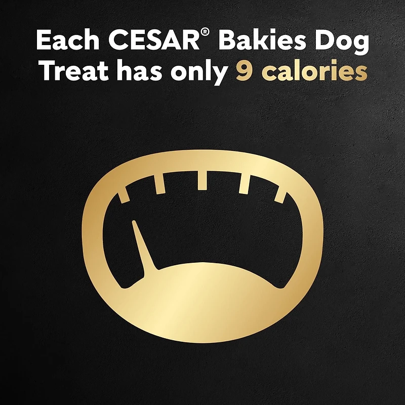 CESAR BAKIES Dog Treats, Small Adult Dogs, Bacon Roasted Chicken, 180 - 550g