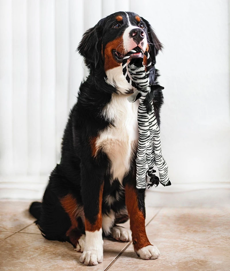 SPOT Skinneeez Extreme Jungle Zebra Stuffing Free Plush Tug Dog Toy