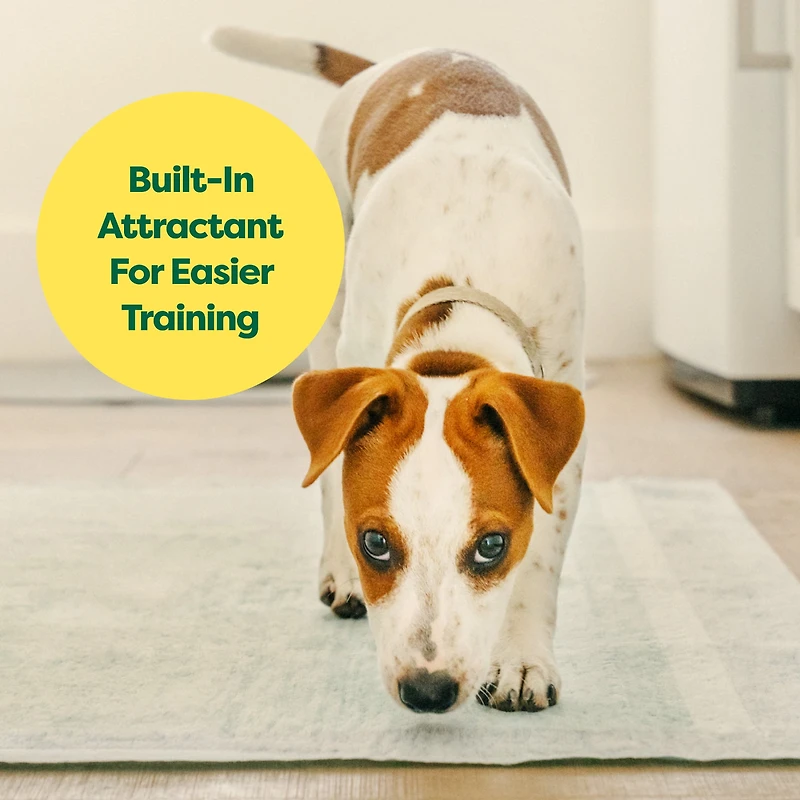 Tapis de propreté antifuite Earth Rated pour chiens et chiots, absorption 2X plus rapide*, non parfumés, L, 56 x 56 cm, paq. de 10