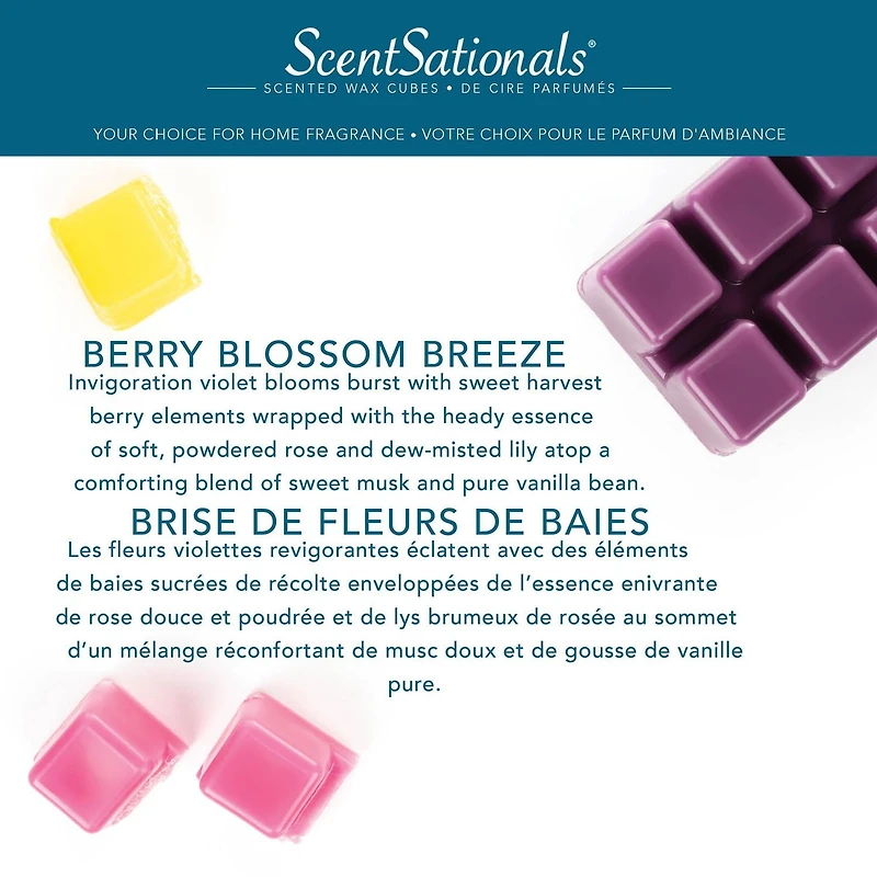 ScentSationals, Scented Wax Cubes - Berry Blossom Breeze