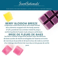 ScentSationals, Scented Wax Cubes - Berry Blossom Breeze