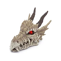 Crâne de dragon de Penn Plax