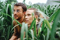 Jurassic World Rebirth Collector's Edition (Blu-Ray), starring Scarlett Johansson, Mahershala Ali, and Jonathan Bailey [2025]