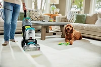 BISSELL® PowerClean® TurboBrush Pet XL