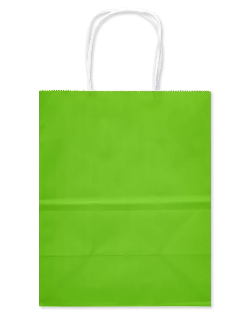 American Greetings - 10 sacs-cadeaux moyens de 10 po, unis arc-en-ciel (12 pièces)