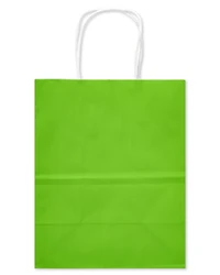 American Greetings - 10 sacs-cadeaux moyens de 10 po, unis arc-en-ciel (12 pièces)