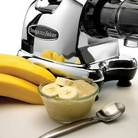 Omega J8006HDC Cold Press Masticating Juicer & Nutrition System