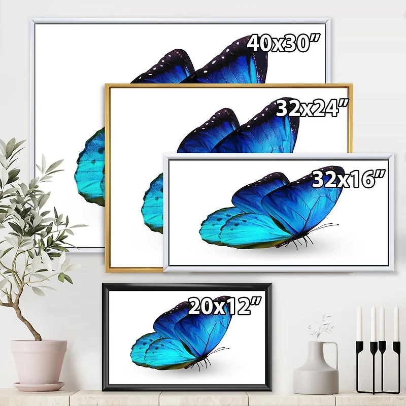 Designart Vibrant Blue Butterfly FLOAT FRAME WALL ART