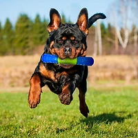 NERF Dog TPR EXO Squeak Stick Dog Chew Toy 6in