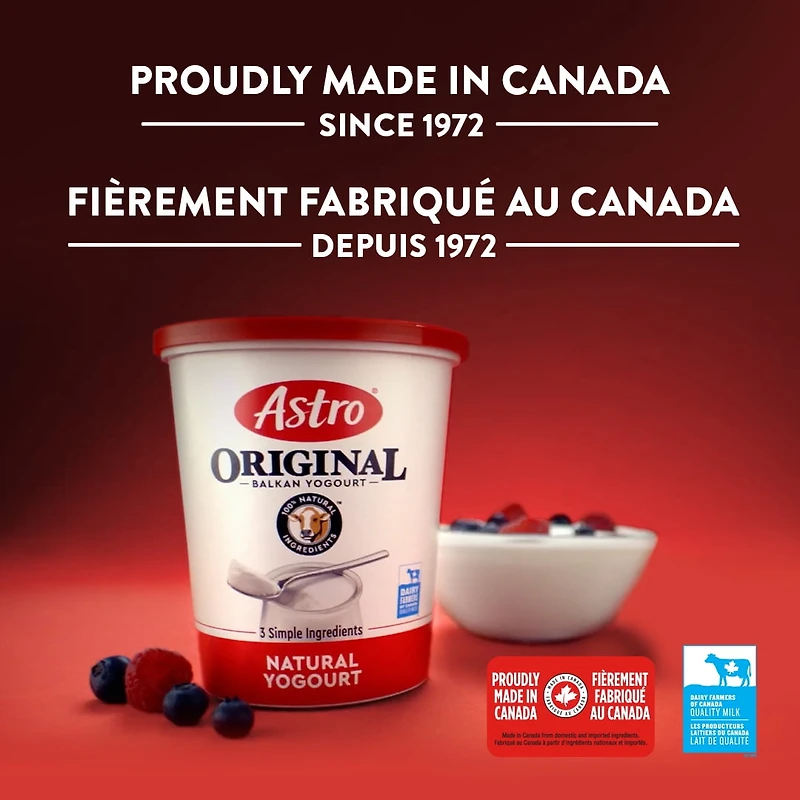 Astro Original Fruit on the Bottom Yogurt Strawberry, Raspberry, Black Cherry, Nectarine 4%, 16x100g