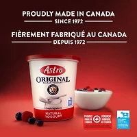 Astro Original Fruit on the Bottom Yogurt Strawberry, Raspberry, Black Cherry, Nectarine 4%, 16x100g