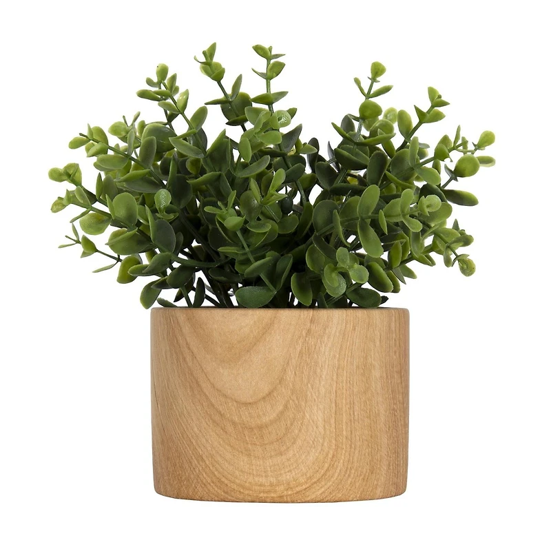 Jessie Faux Eucalyptus Plant in Brown Pot
