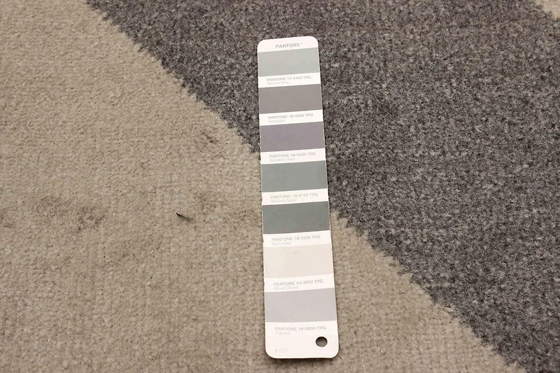 ECARPET Bianca Contemporain/Moderne Tapis pour salon, chambre, salle à manger, entrée, couloir et plus encore.