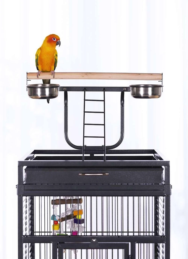 Prevue Select Wrought Iron Bird Cage, Black