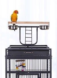 Prevue Select Wrought Iron Bird Cage, Black