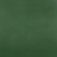 Loft Living Sicily Room Darkening Dual Header Single Curtain Panel 50 x 84 in Dark Green