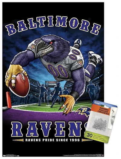 NFL Baltimore Ravens - End Zone 17 Wall Poster, 14.725" x 22.375"