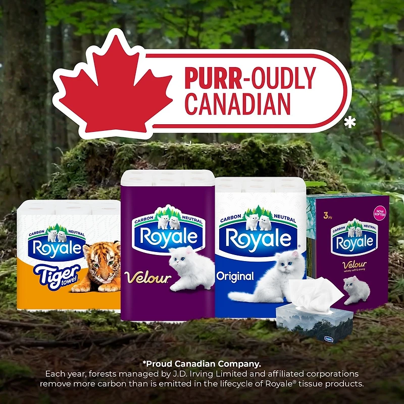 Royale Tiger Strong Paper Towel, 12 Large Rolls Equal 18 Regular Rolls