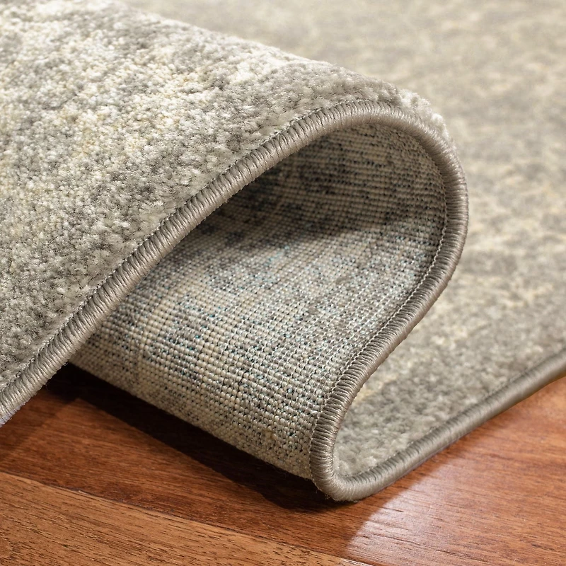 Safavieh Evoke Trena Traditional Area Rug