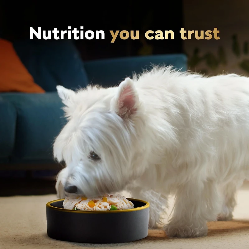 Nourriture humide pour chiens adultes Cesar Wholesome Bowls recette au bœuf, au poulet, aux carottes et aux pommes de terre mauves 85G