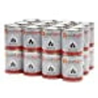 Combustible en Gel de Real Flame, paquet de 24