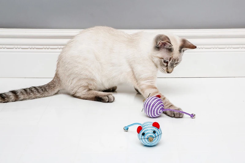 Hartz Cattraction Bell Mouse Cat Toy, Silvervine & Cat Nip Cat Toy