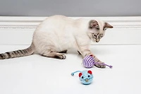 Hartz Cattraction Bell Mouse Cat Toy, Silvervine & Cat Nip Cat Toy
