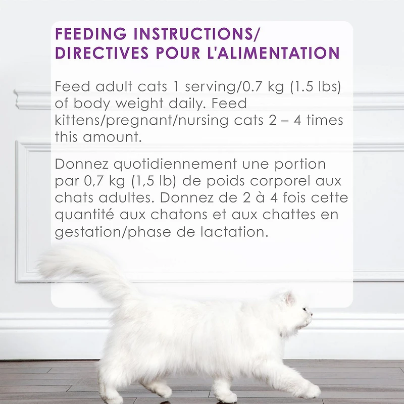 Fancy Feast Petites Pate Tender Turkey Entrée, Wet Cat Food 79.4 g