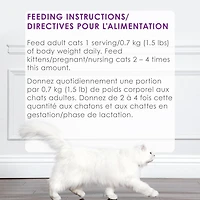 Fancy Feast Petites Pate Tender Turkey Entrée, Wet Cat Food 79.4 g