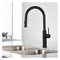 The akuaplus® ABA pull down Kitchen Faucet