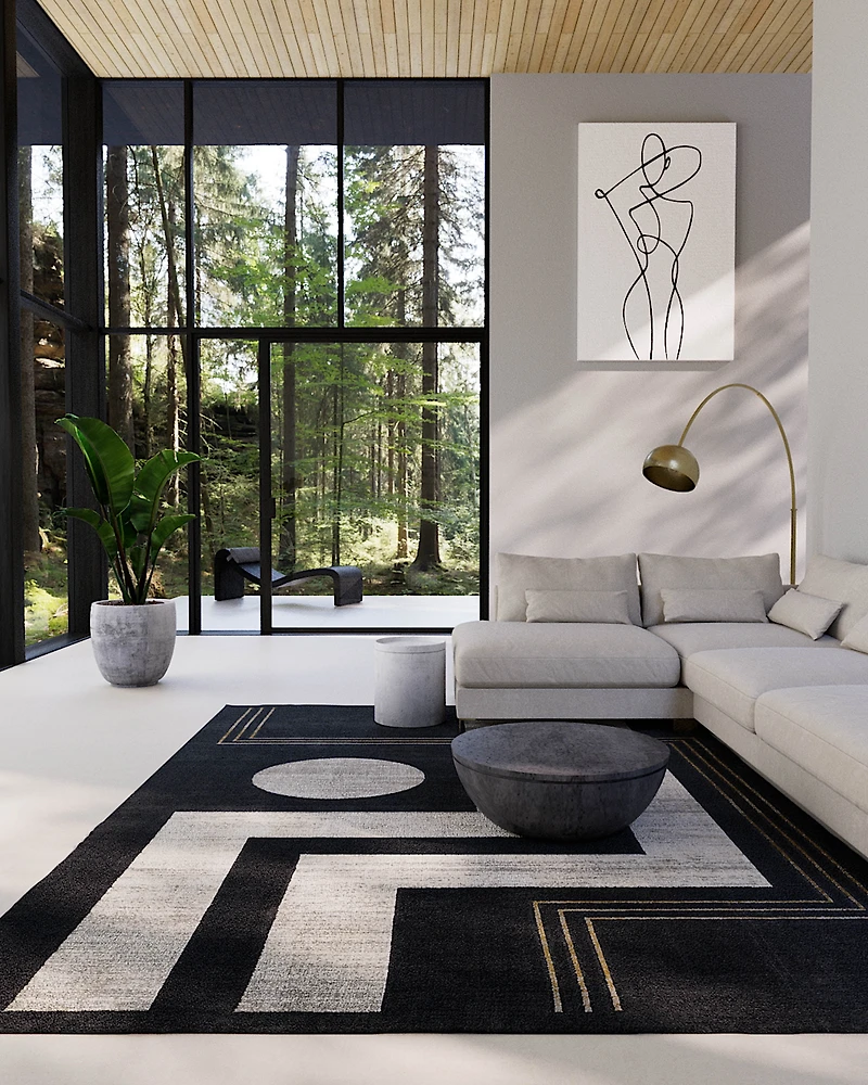 ECARPET Erisa Contemporary Area Rug for Living Room, Bedroom, Dining Entrance, Hallway and More.