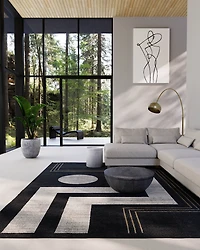 ECARPET Erisa Contemporary Area Rug for Living Room, Bedroom, Dining Entrance, Hallway and More.