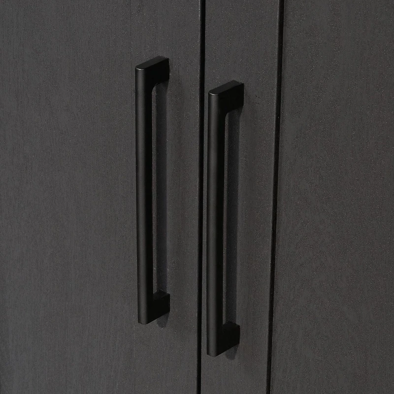 Sauder HomePlus Storage Cabinet