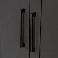Sauder HomePlus Storage Cabinet