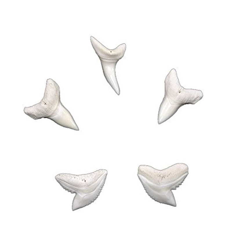 DK SHARK SCIENCE - FRENCH