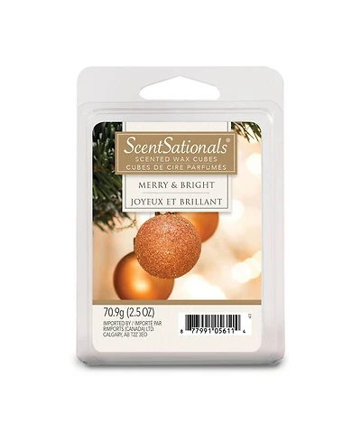Bloc de cire parfumée ScentSationals Joyeux et brillant