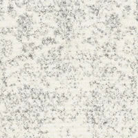 SAFAVIEH Adirondack Wyatt Traditional Area Rug