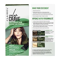 Clairol Color Crave Semi-Permanent Hair Color