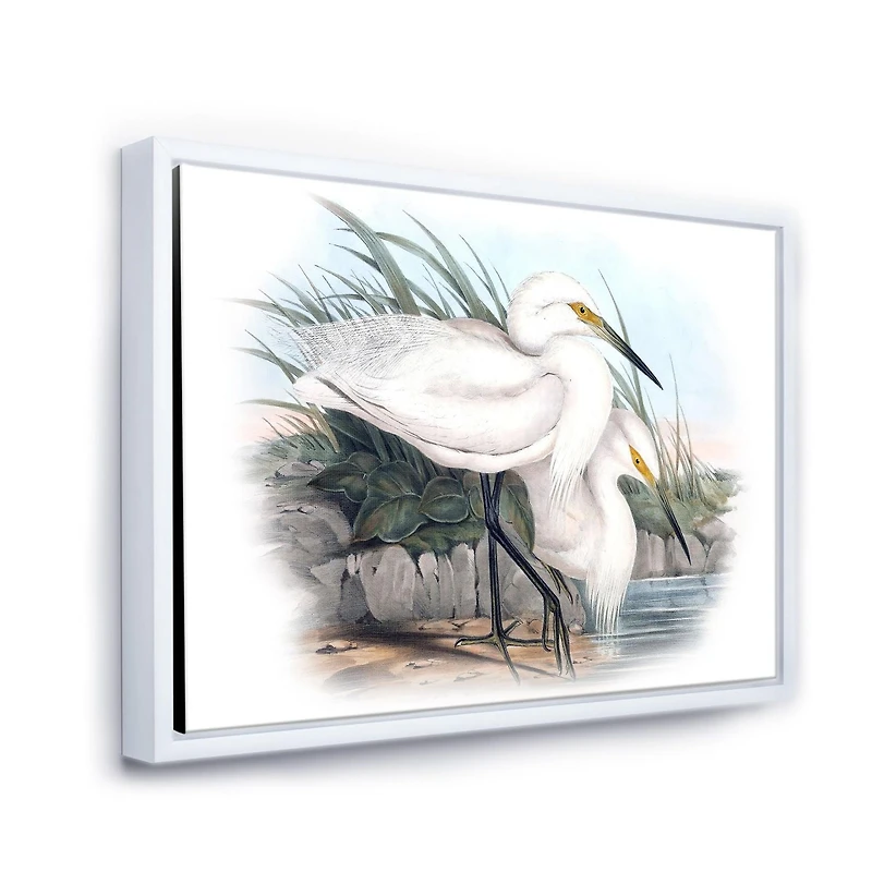 Designart Vintage Bird Life I FLOAT FRAME WALL ART