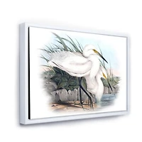 Designart Vintage Bird Life I FLOAT FRAME WALL ART