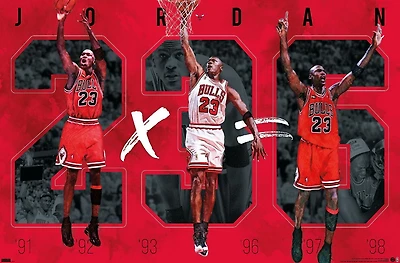 Michael Jordan - Six Wall Poster, 22.375" x 34"