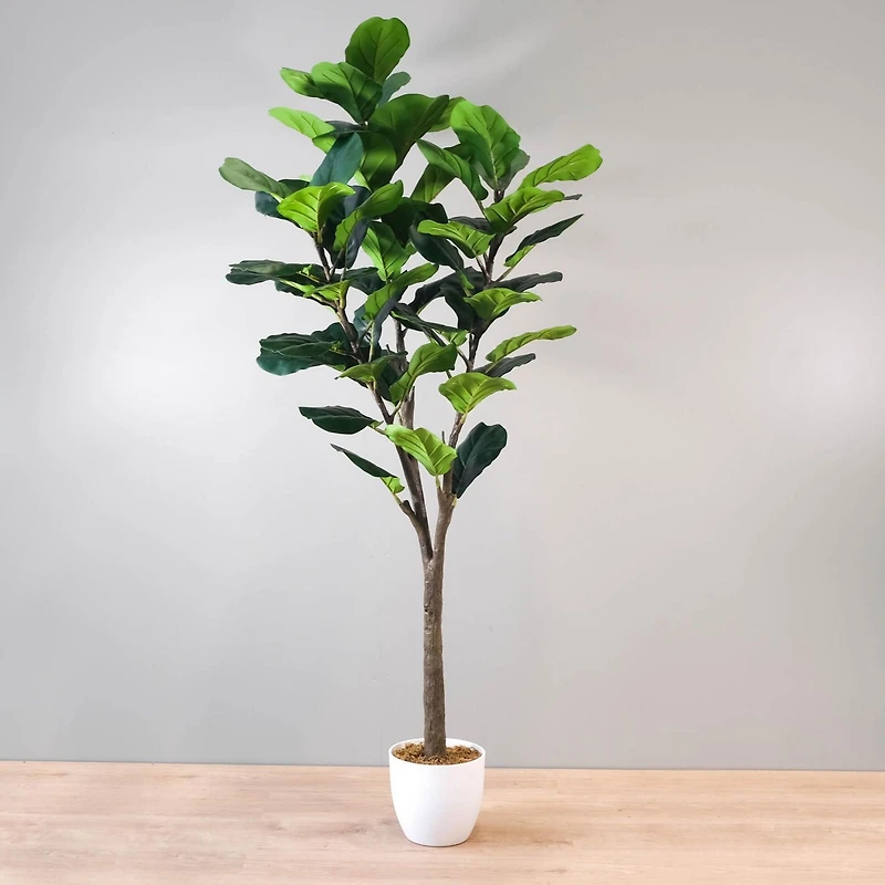 Fiddle Leaf Fig Tree, 62.9"H